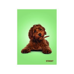 Zvezek A4 Ljubljenčki